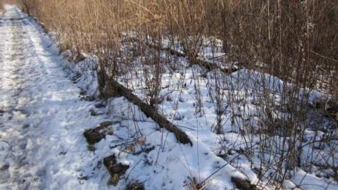 Coyle Roadhouse - Coyle-Roadhouse17.jpg