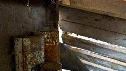 Gallery - Jeremiahs-Field67.jpg