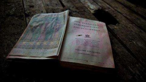 Jeremiah's Field photo 4