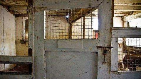 Jeremiah's Field - London, Ontario