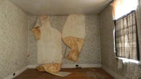 January 2013 - DSCN2163.jpg