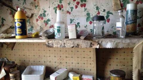 Thanks for the vacuum - Woodstock-1940s-House73.jpg