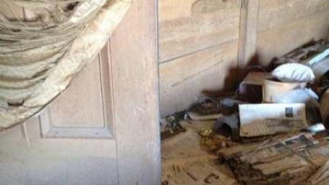 Thanks for the vacuum - Woodstock-1940s-House75.jpg