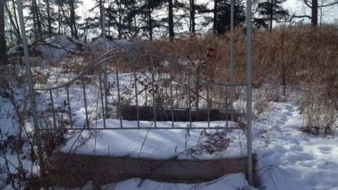 Thanks for the vacuum - Woodstock-1940s-House77.jpg