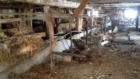 Photo from Thanks for the vacuum