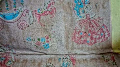 Age and Beauty! - Warden-and-Baseline28.jpg