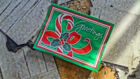 Age and Beauty! - Warden-and-Baseline19.jpg