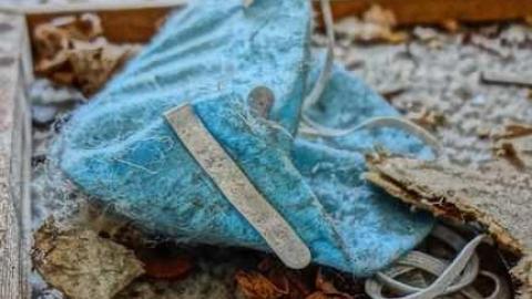 Age and Beauty! - Warden-and-Baseline5.jpg