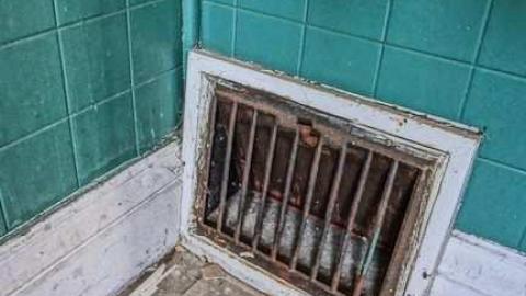 Age and Beauty! - Warden-and-Baseline26.jpg