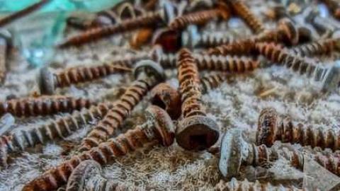 Age and Beauty! - Warden-and-Baseline39.jpg