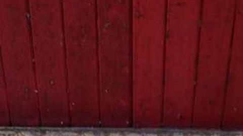 Deserted Chromatics #2 - DSC02103.jpg