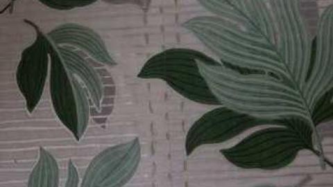 Deserted Chromatics #2 - DSC02114.jpg