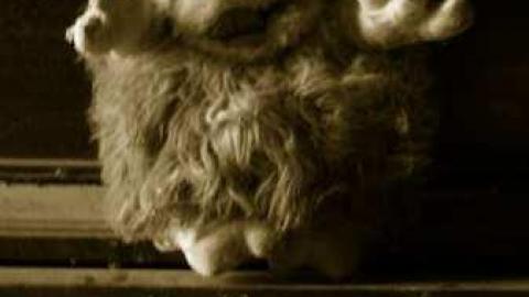 Deserted Chromatics #2 - DSC021288.jpg