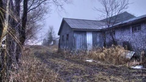 Disappointed Decayed photo 2