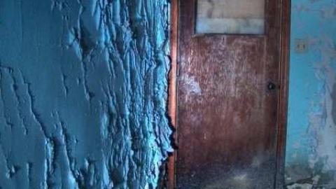 Disappointed Decayed photo 3