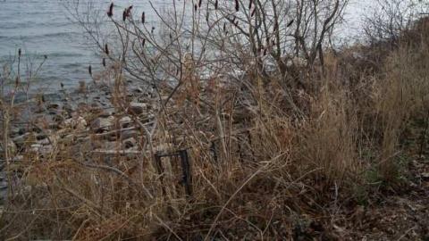 Breathless - Lakeshore-house21.jpg