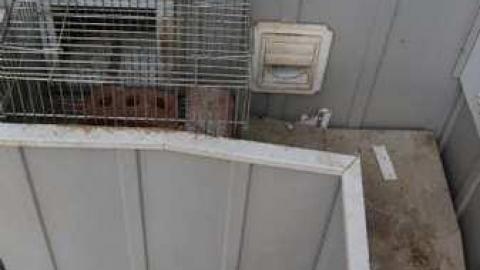 Existence In A Hatbox - Abandoned-Cat-Lady-House91.jpg