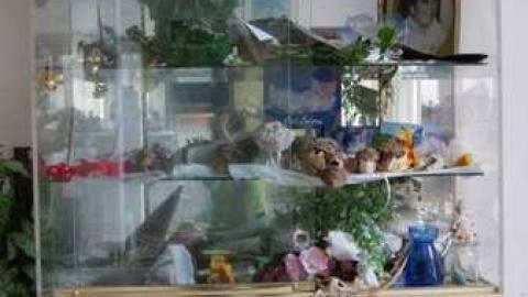 Existence In A Hatbox - Abandoned-Cat-Lady-House99.jpg