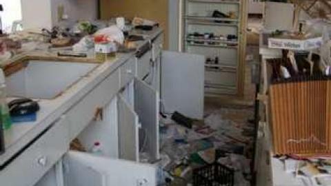 Existence In A Hatbox - Abandoned-Cat-Lady-House100.jpg