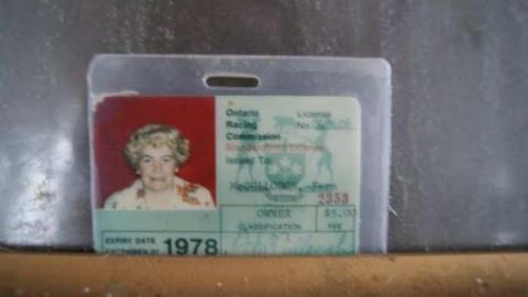 Existence In A Hatbox - Abandoned-Cat-Lady-House102.jpg