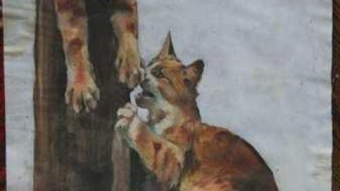 Existence In A Hatbox - Abandoned-Cat-Lady-House106.jpg