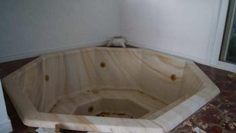 Existence In A Hatbox - Abandoned-Cat-Lady-House109.jpg