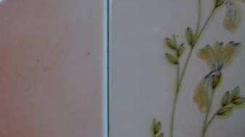 Existence In A Hatbox - Abandoned-Cat-Lady-House110.jpg