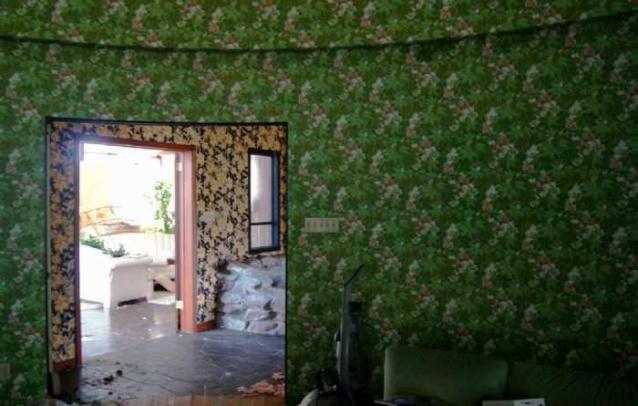 Abandoned Cat Lady House photo 4