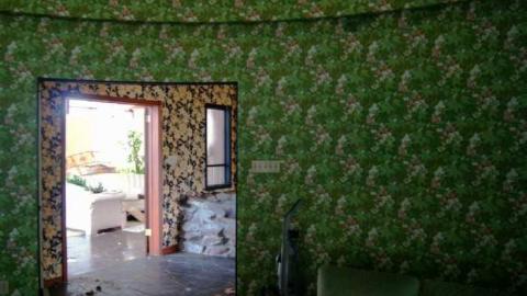 Abandoned Cat Lady House photo 4