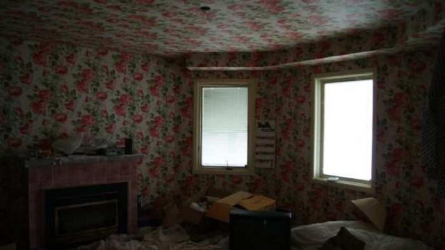 Abandoned Cat Lady House photo 2