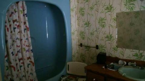 Existence In A Hatbox - Abandoned-Cat-Lady-House113.jpg