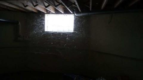 Existence In A Hatbox - Abandoned-Cat-Lady-House114.jpg