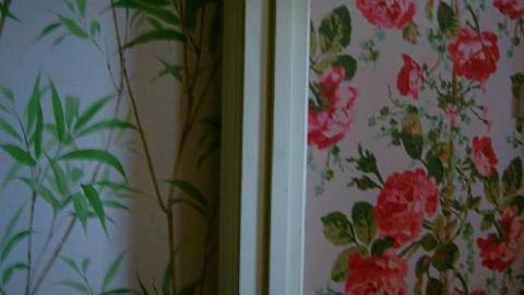 Existence In A Hatbox - Abandoned-Cat-Lady-House115.jpg