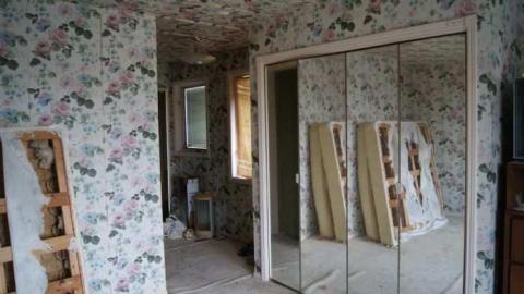 Existence In A Hatbox - Abandoned-Cat-Lady-House121.jpg