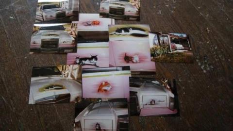 Existence In A Hatbox - Abandoned-Cat-Lady-House122.jpg