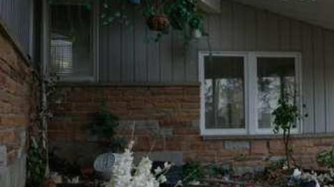 Existence In A Hatbox - Abandoned-Cat-Lady-House124.jpg