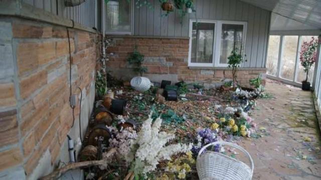 Abandoned Cat Lady House photo 5