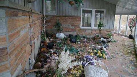 Existence In A Hatbox - Abandoned-Cat-Lady-House125.jpg