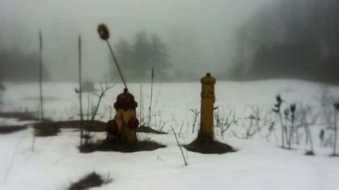 edgar - CFB-Edgar152.jpg