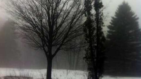 edgar - CFB-Edgar153.jpg