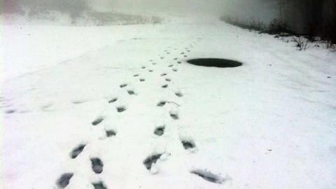 edgar - CFB-Edgar159.jpg