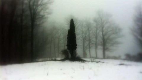 edgar - CFB-Edgar155.jpg