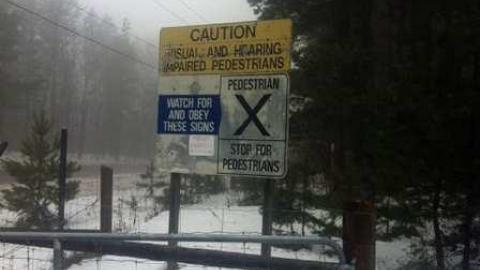 edgar - CFB-Edgar161.jpg