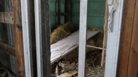 Yeeesh... - IMG_0244.jpg