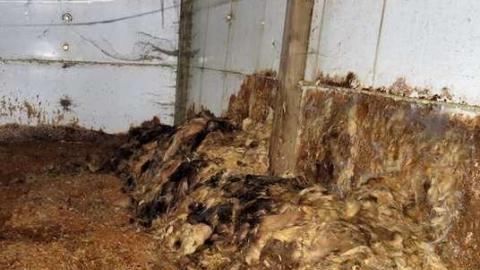 Yeeesh... - IMG_0251d.jpg