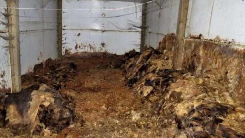 Yeeesh... - IMG_0251e 1280.jpg