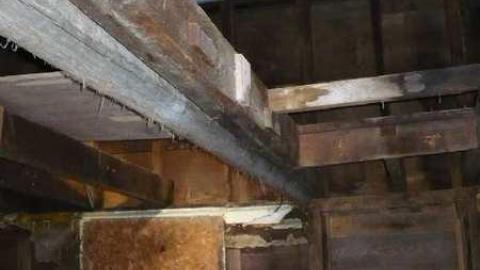 January '13 - P1100469.jpg