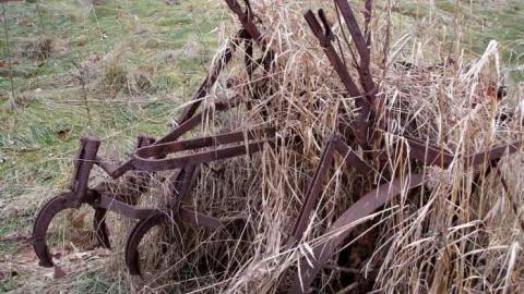 Barns Make Me Happy - North-Oakville-farm48.jpg