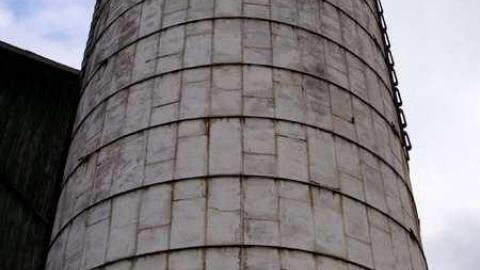 Barns Make Me Happy - North-Oakville-farm49.jpg