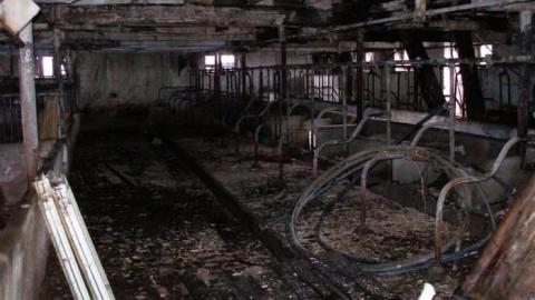 Barns Make Me Happy - North-Oakville-farm50.jpg